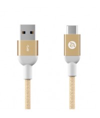 CASA M100 USB Type-C Male to USB 3.0 Male Gold