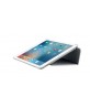 Odoyo PA582SL  Collection for iPad Pro 9.7 inch Planet Silver